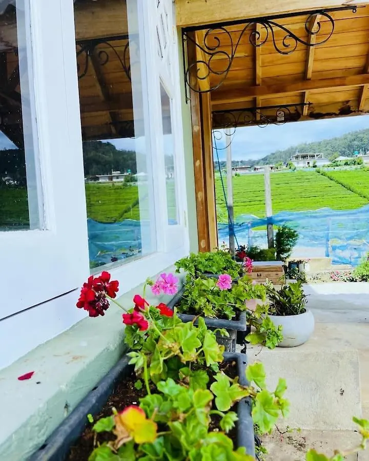 Trail Lodge, Kandapola 0*,