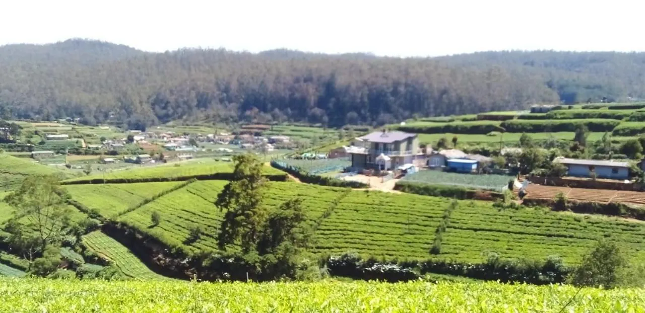 Trail Lodge, Kandapola Lodge